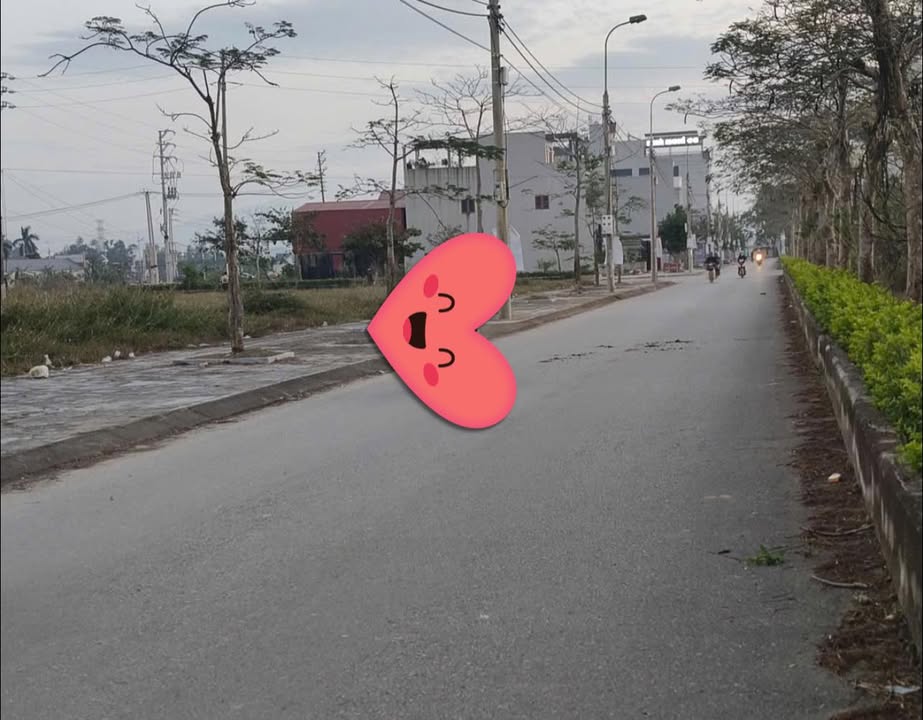 Đất nền 150m² tại Đường đôi Sao Mai, Triệu Sơn - Tiềm năng đầu tư hấp dẫn!