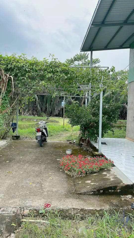 Nhà vườn cho thuê tại Long Hậu 500m² chỉ 2.5 triệu - Không gian sống lý tưởng!