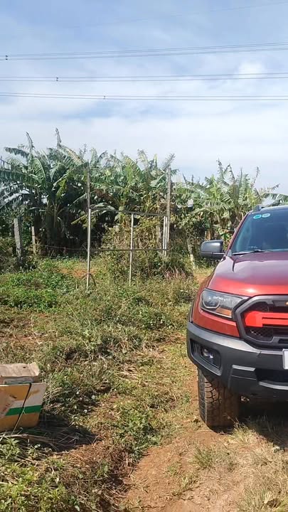 Đất nông nghiệp Ia Kênh 70.000m² giá 1.6 tỷ - Cơ hội đầu tư hấp dẫn!