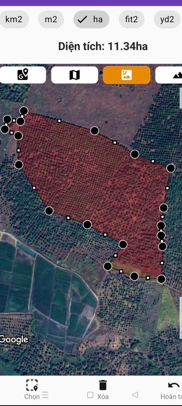 Đất nông nghiệp 3ha tại xã Ia Dom giá 3 tỷ - Đầu tư sinh lời ngay!