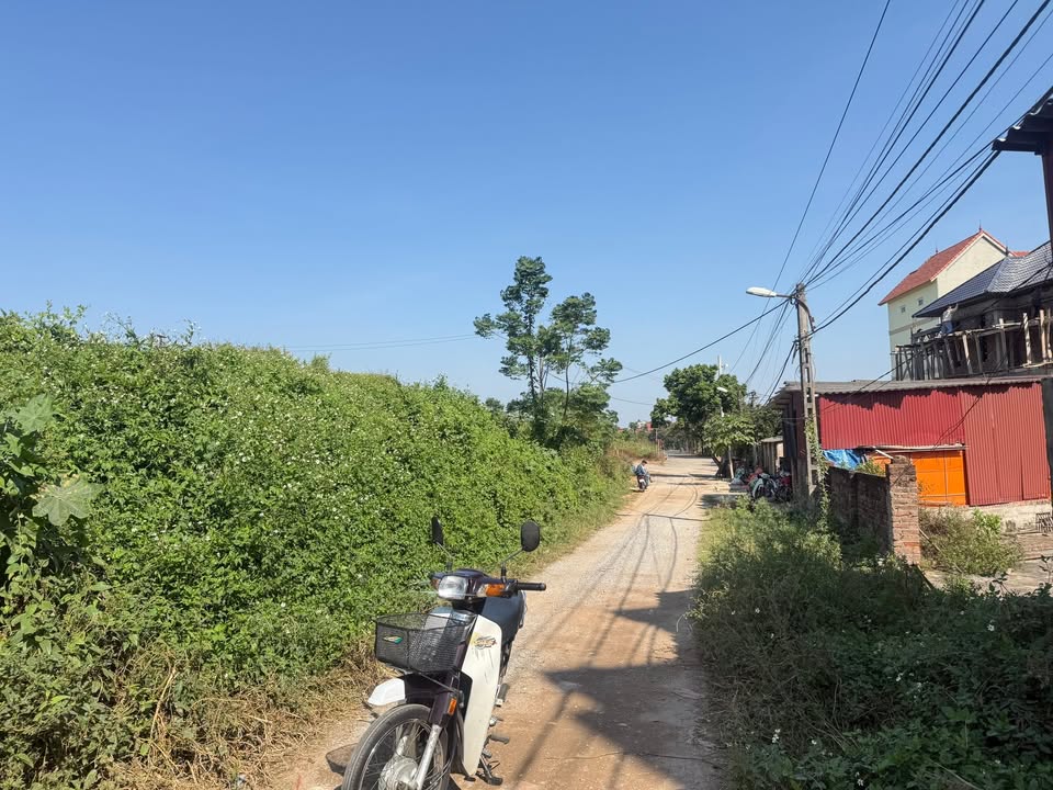 Đất Kinh Doanh Mặt Đê Tráng Việt 87m² giá 5 tỷ - Cơ hội đầu tư hấp dẫn!