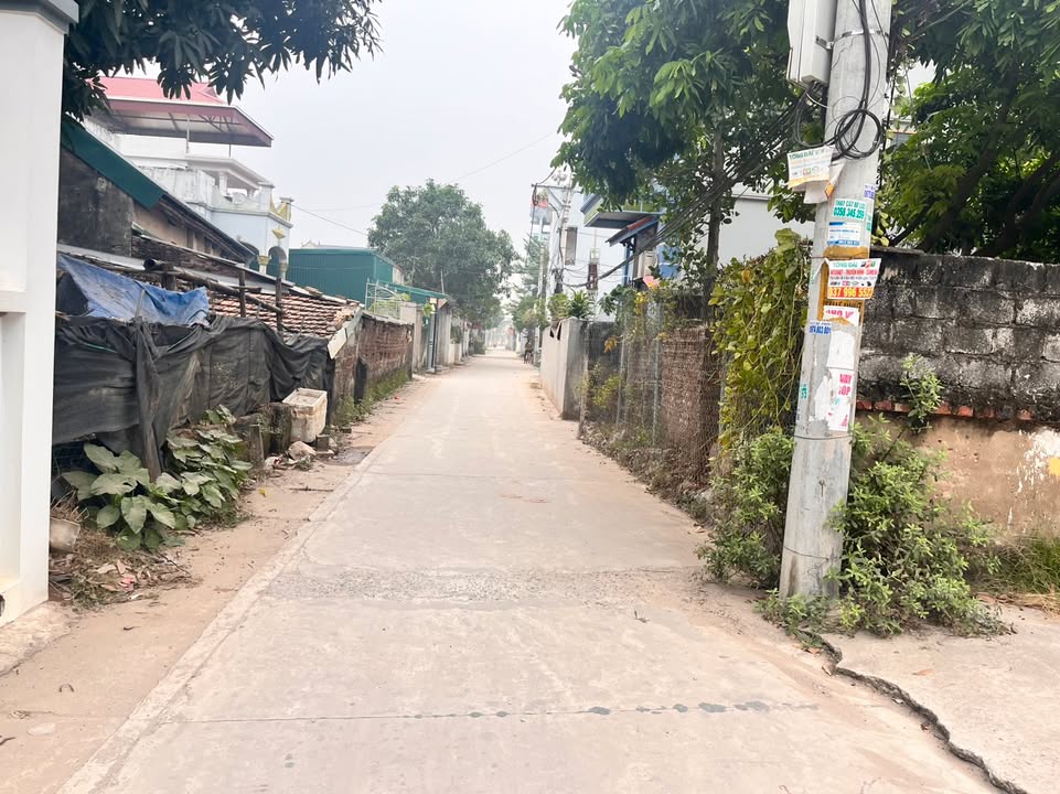 Đất nền 50.1m² tại Thư Phú - Giá chỉ 2 tỷ - Đường ô tô đỗ cửa!