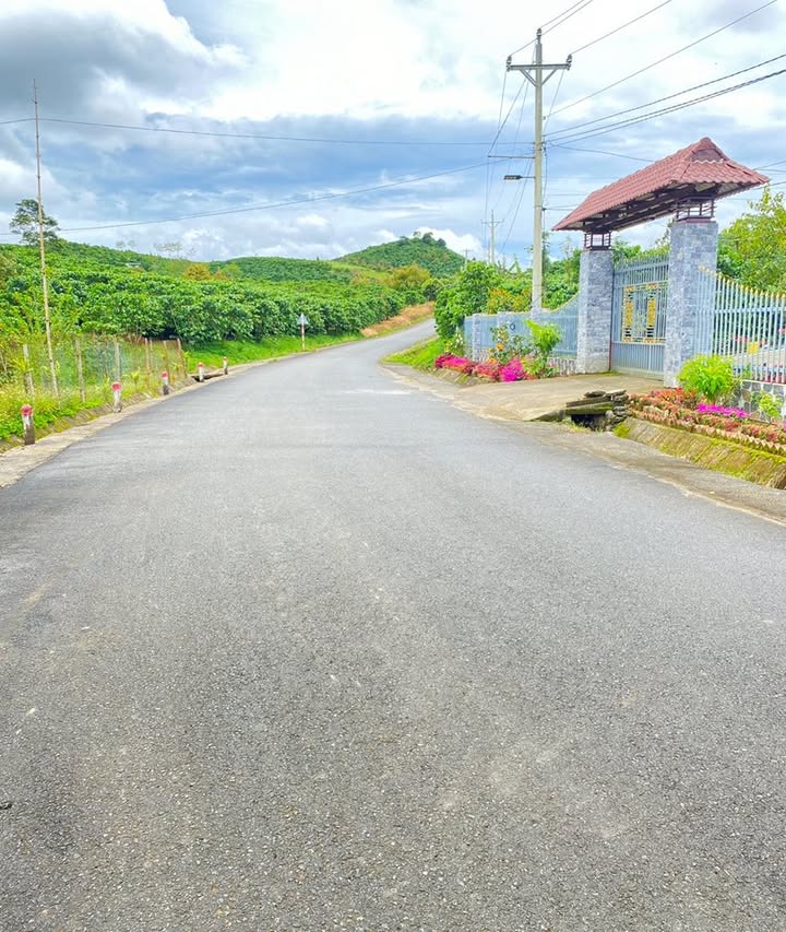 Đất nền Bảo Lộc 11,000m² giá mềm - Cơ hội đầu tư tuyệt vời!