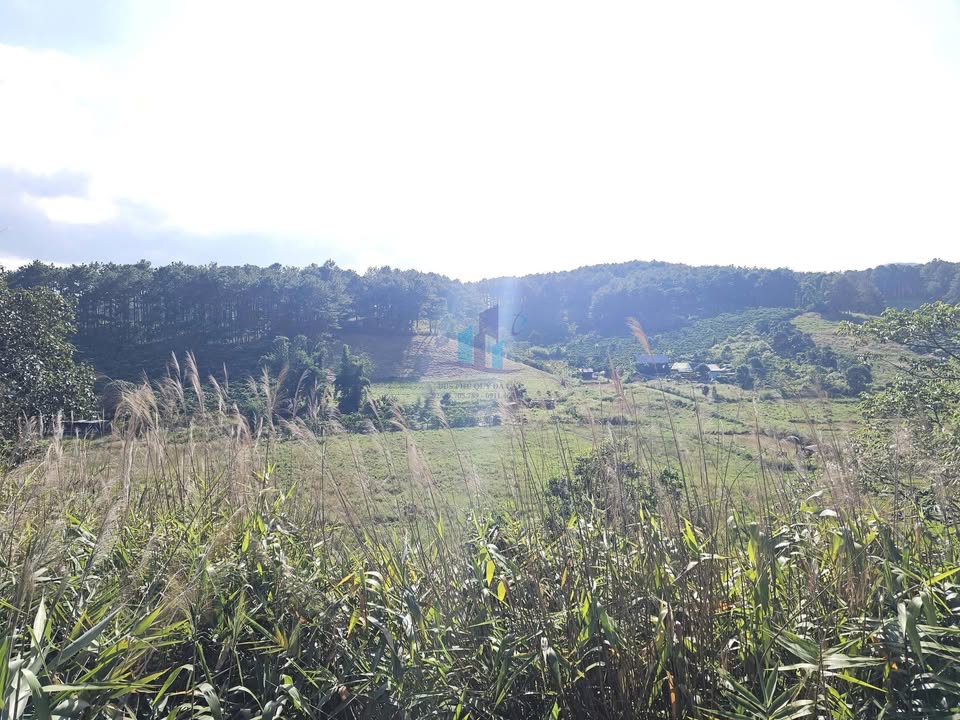 Đất nền Tà Nung, Đà Lạt 5538m² giá 9 tỷ - Tiềm năng đầu tư lớn!