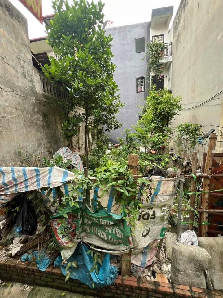 Đất nền Phúc Lợi Long Biên 31m² giá 2.3 tỷ - Cơ hội hiếm có cho nhà đầu tư!