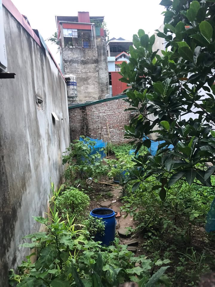 Đất Phúc Lợi Long Biên 80m² giá chỉ 6 tỷ - Đường ô tô vào tận cửa!