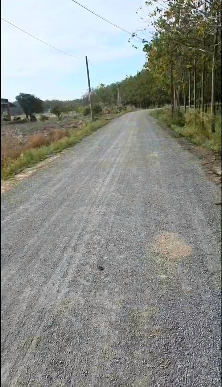 Đất thổ cư Tân Phong 160m² giá 175 triệu - Pháp lý rõ ràng, xây dựng ngay!