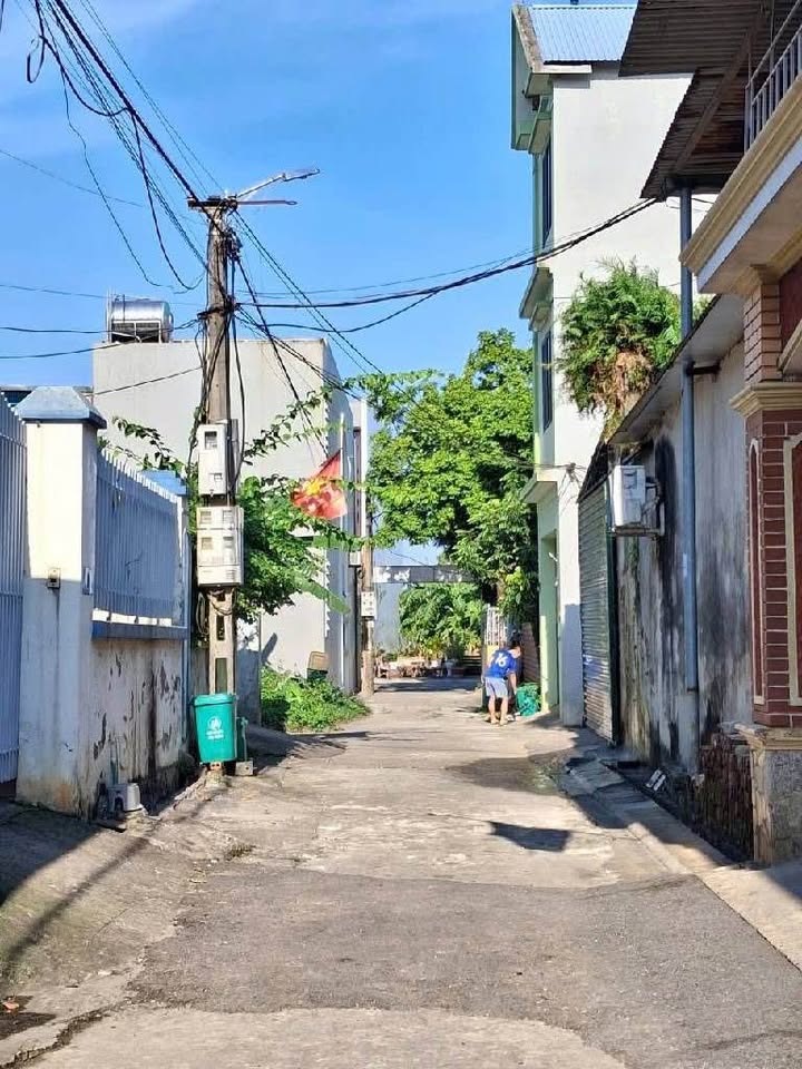 Đất thổ cư Thôn Thế Trạch, Mai Đình 161m² giá thỏa thuận - Đường ô tô 7 chỗ vào tận nơi!