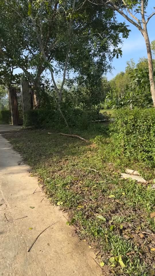 Đất thổ cư tại Thôn Trường Sơn, xã Phú Gia 208m² giá 300 triệu - Cơ hội đầu tư tuyệt vời!