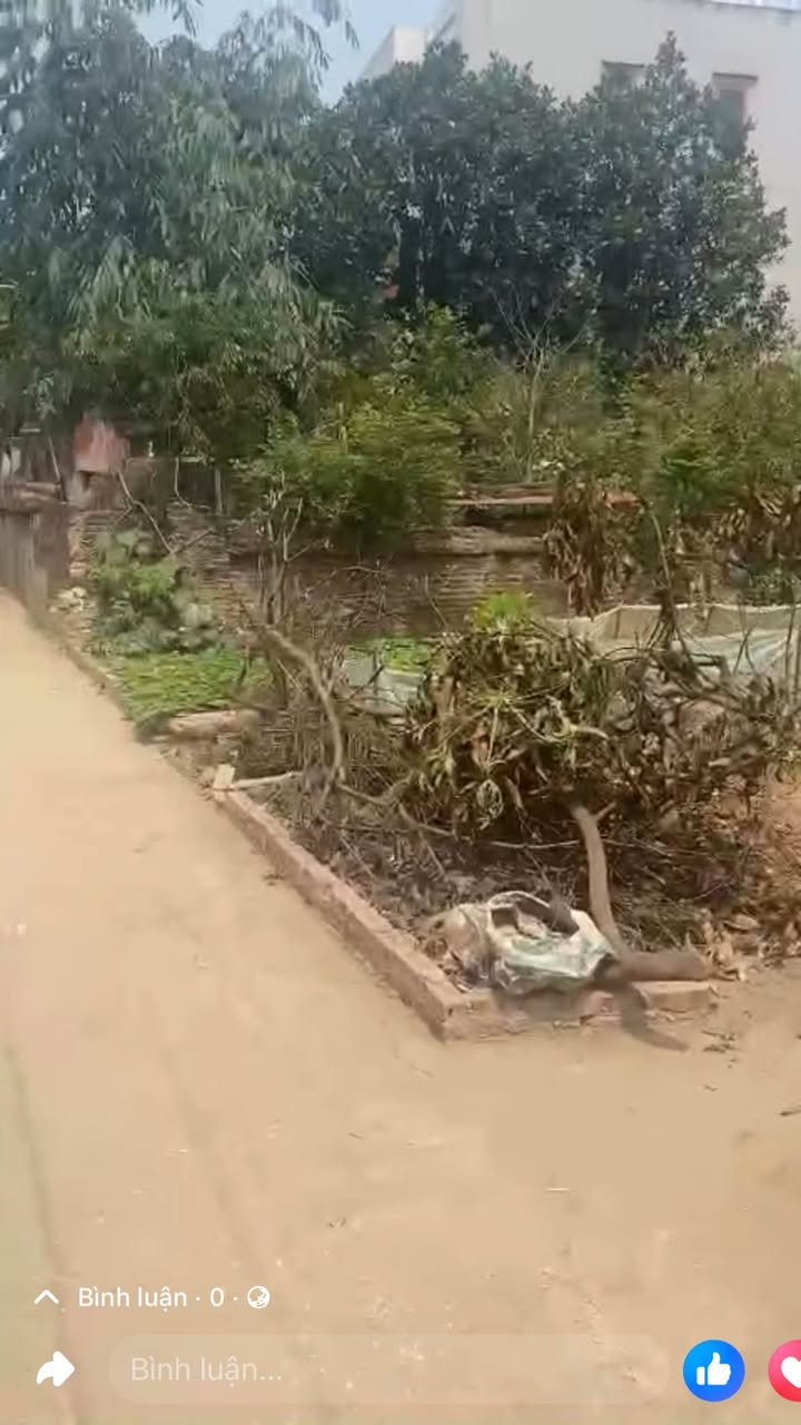 Đất nền 40m² tại Sen Phương, Sơn Tây - Giá chỉ 1 tỷ, sổ đỏ đẹp!