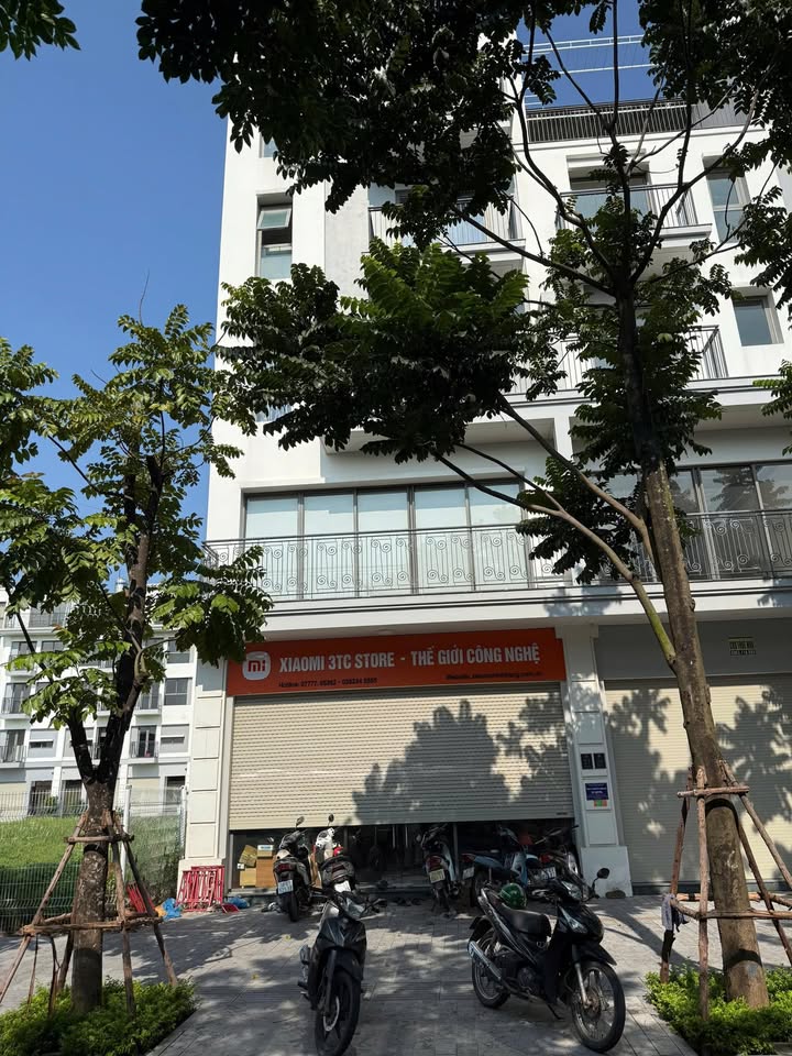 Biệt thự cho thuê tại The Manor, Hoàng Mai, 75m² giá 55 triệu - Phù hợp làm văn phòng, showroom