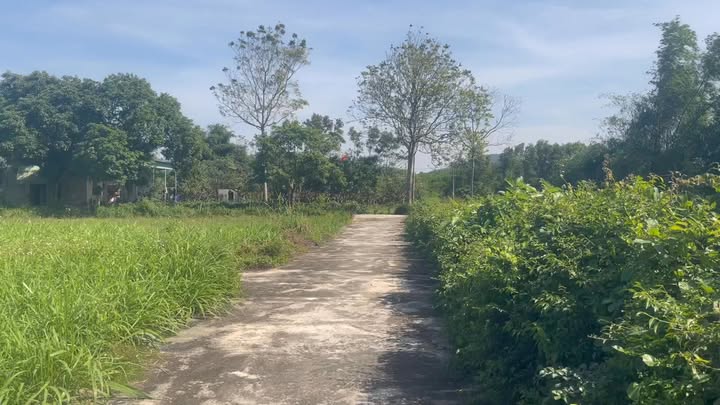 Đất nền Nghĩa Hồng 209m² giá chỉ 300 triệu - Sổ đỏ chính chủ!