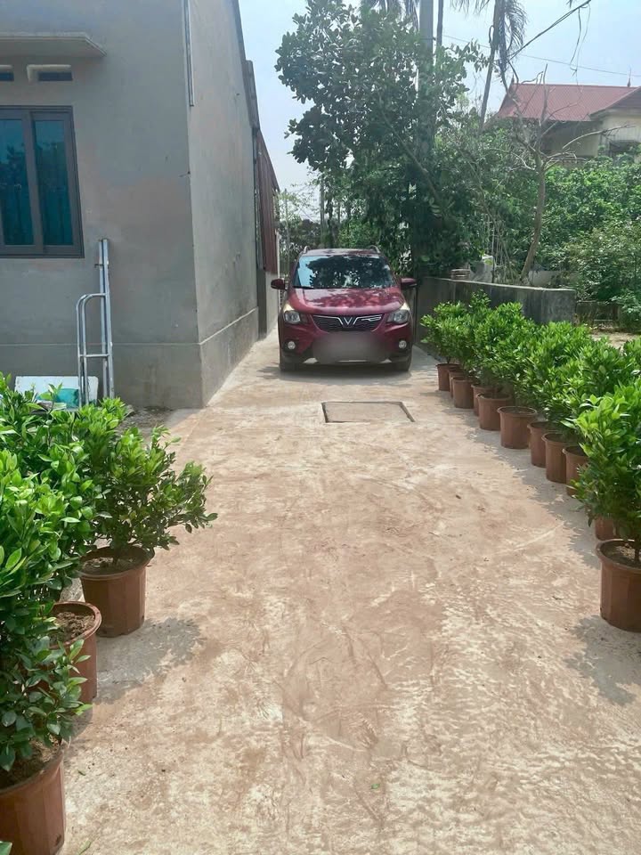 Đất nền Vĩnh Tuy - Liên Nghĩa - Văn Giang 50m² giá 2 tỷ - Cơ hội đầu tư hiếm có!