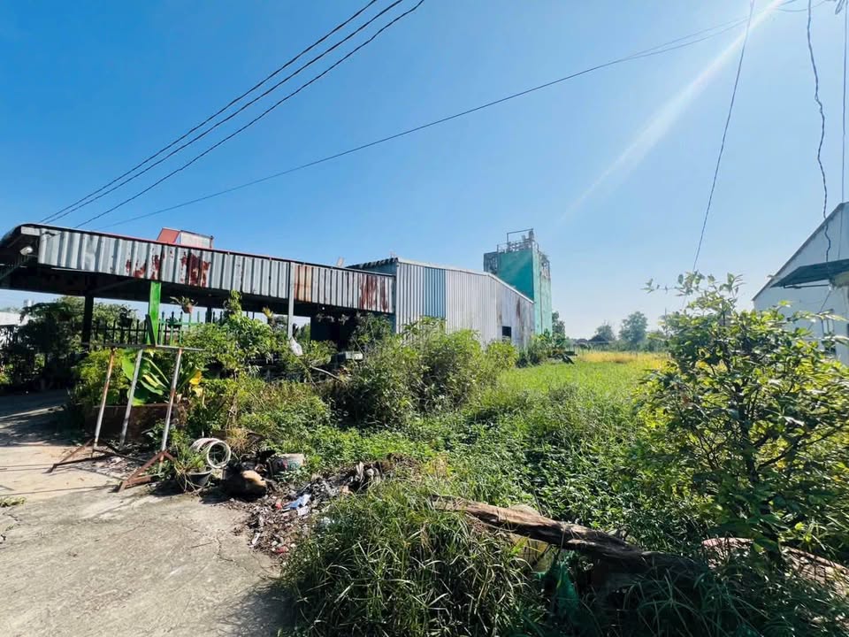 Đất nền 190m² tại Ấp Mới 2, Đức Hoà - Giá chỉ 1.25 tỷ, sổ hồng chính chủ!