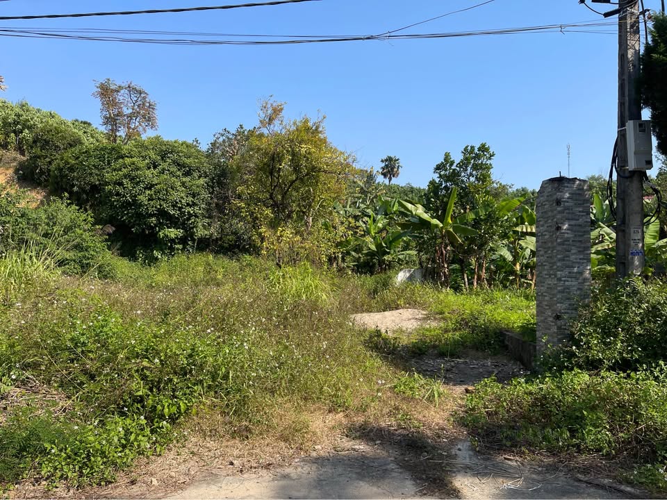 Đất nền trung tâm phường Nam Cường 160m² giá chỉ 1.1 tỷ - Đầu tư sinh lời ngay!