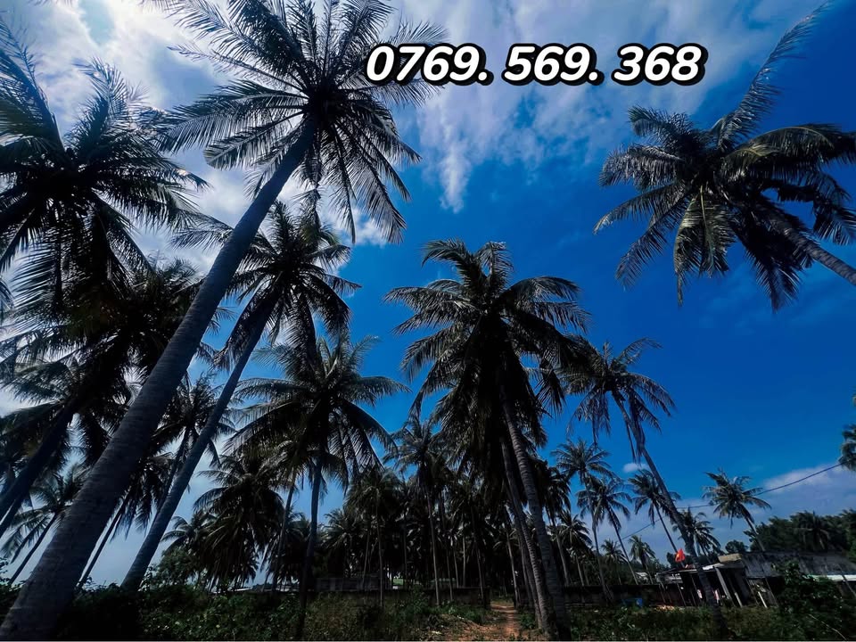 Đất mặt biển Vân Phong, Vạn Ninh 100m² giá 4 tỷ - Cơ hội đầu tư hấp dẫn!