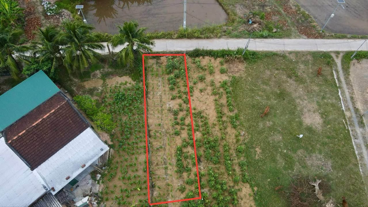 Đất nền Ninh Phụng, Ninh Hòa 151m² giá chỉ 600 triệu - Đường ô tô thông thoáng!