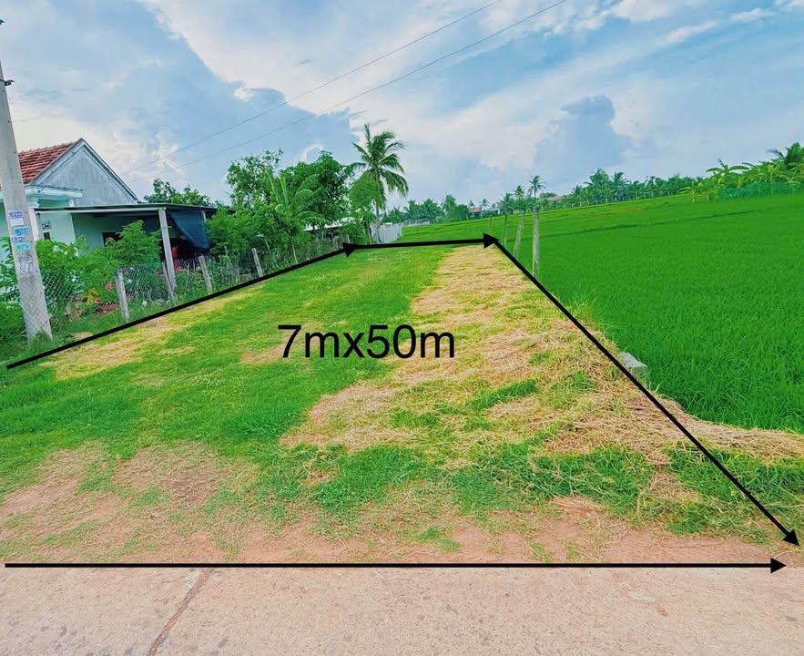Đất thổ cư 370m² tại thôn Ninh Thọ, Ninh Hòa chỉ 1.3 tỷ - Tiềm năng đầu tư lớn!