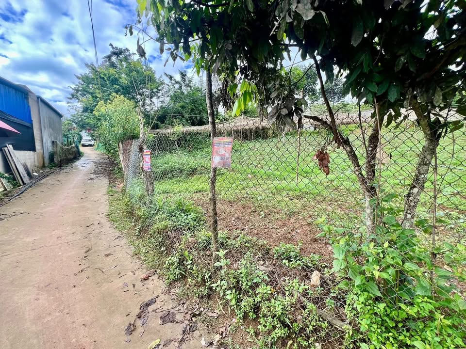 Bán đất vườn Bản Híp, Chiềng Ngần 1600m² giá 610 triệu - Tiềm năng nghỉ dưỡng tuyệt vời!