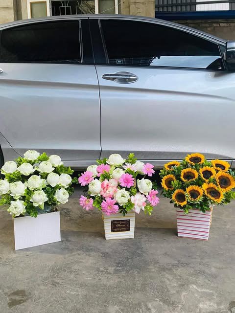 Đất nền thôn 4 Hòa Phú, Chư Păh 1000m² giá 1 tỷ - Sổ đỏ chính chủ, thổ cư 100%!