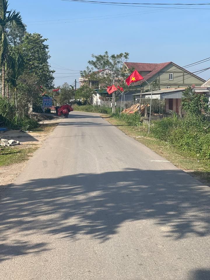 Lô đất đấu giá Nghĩa Hội Nghĩa Đàn 295m² giá 990 triệu - Vị trí đắc địa chờ đón chủ mới!