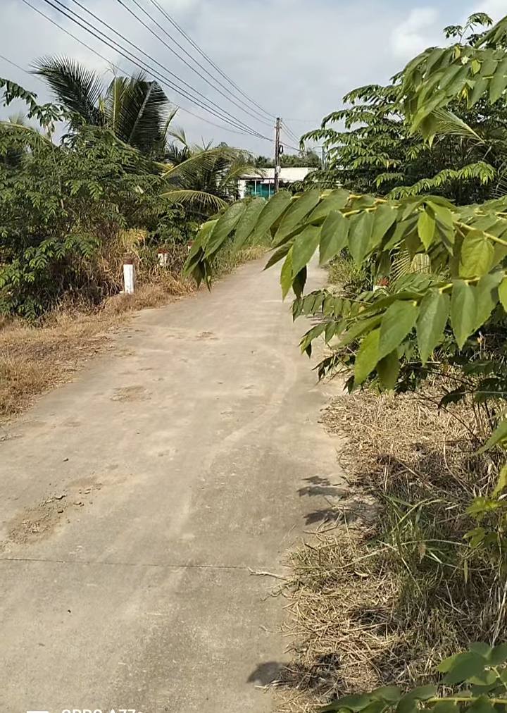 Đất mặt tiền An Phú Trung 4600m² giá 460 triệu - Cơ hội đầu tư tuyệt vời!