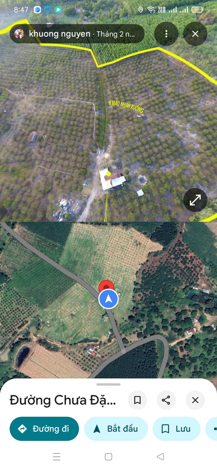 Đất Farm Tân Phúc Hàm Tân 6ha giá 14 tỷ - Cơ hội đầu tư tuyệt vời!