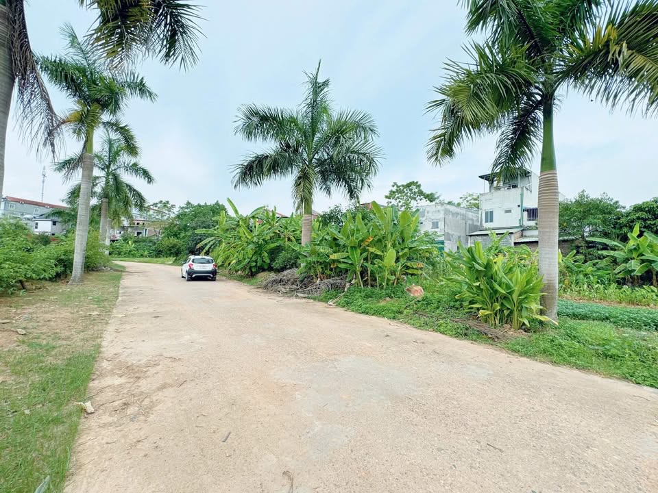 Đất nền Tiên Kiên Lâm Thao 153m² giá 1 tỷ - Sổ đỏ sang tên nhanh chóng!