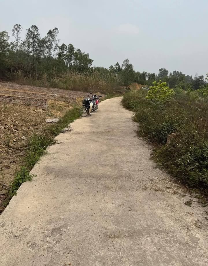 Đất nền Ba Vì 224m² giá 500 triệu - Sổ đỏ chính chủ, pháp lý rõ ràng!