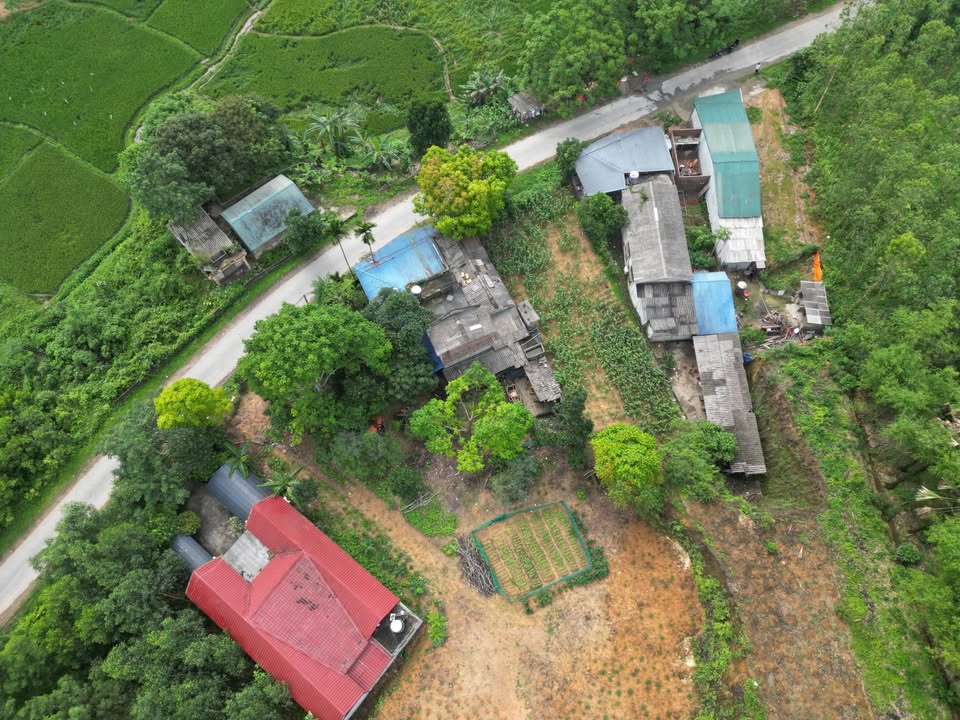 Đất nền Yên Luật Hạ Hoà 139,5m² giá 500 triệu - Nhanh tay sở hữu!