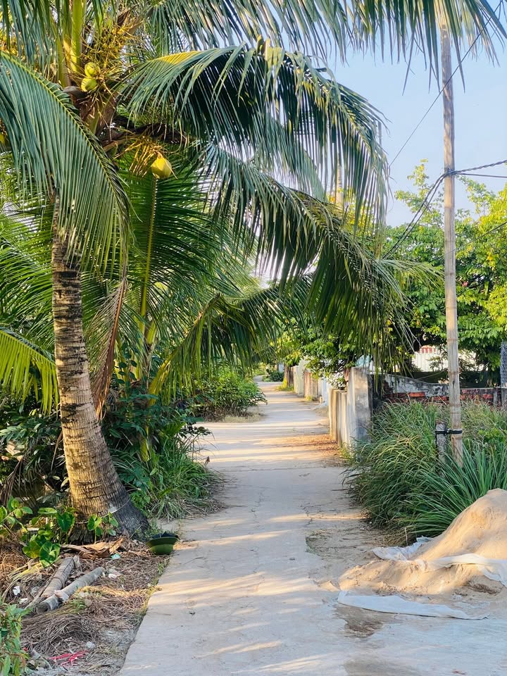 Đất nền Chấn Hưng Tiên Lãng 125m² giá 800 triệu - Ô tô vào tận nơi!