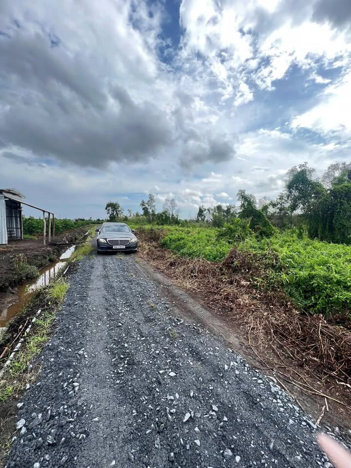 Đất nền Thạnh Hoà, Bến Lức 524.5m² giá chỉ 480 triệu - Cơ hội đầu tư hiếm có!