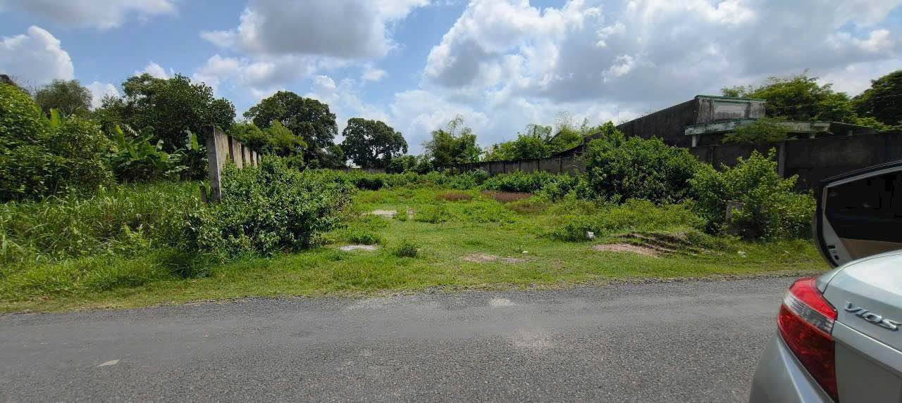 Đất thổ cư Đức Ngãi 1560m² giá 8.5 tỷ - Cơ hội đầu tư sinh lời!