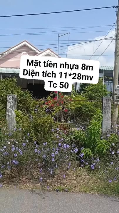 Đất nền Láng Dài, Bà Rịa - Vũng Tàu 308m² giá 1.49 tỷ - Khu vực phát triển mạnh mẽ!