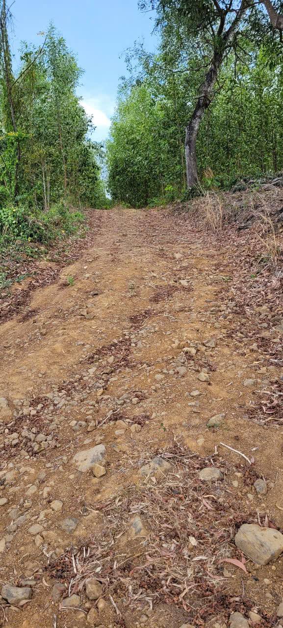 Đất Hòa Hội, Xuyên Mộc 1300m² giá 2.6 tỷ - Cơ hội đầu tư hấp dẫn!