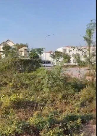 Đất nền 98m² Sơn Đồng, Hoài Đức - Giá chỉ 15 tỷ, thương lượng mạnh!