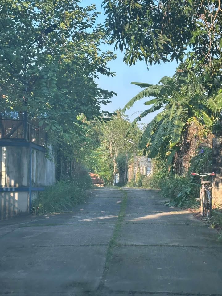 Lô đất Nam Phương Tiến 650m² giá thỏa thuận - Tiềm năng đầu tư lớn gần hồ Miểu