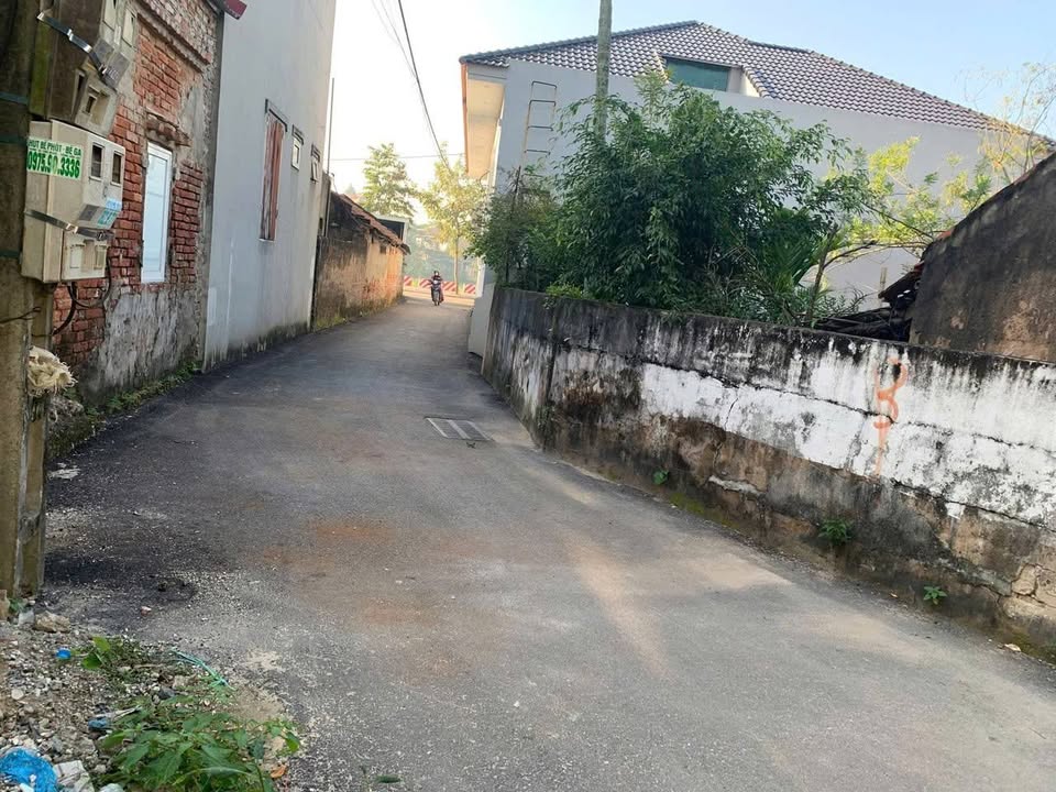 Đất nền Minh Châu Yên Mỹ 100m² giá 2 triệu/m² - Cơ hội đầu tư tuyệt vời!