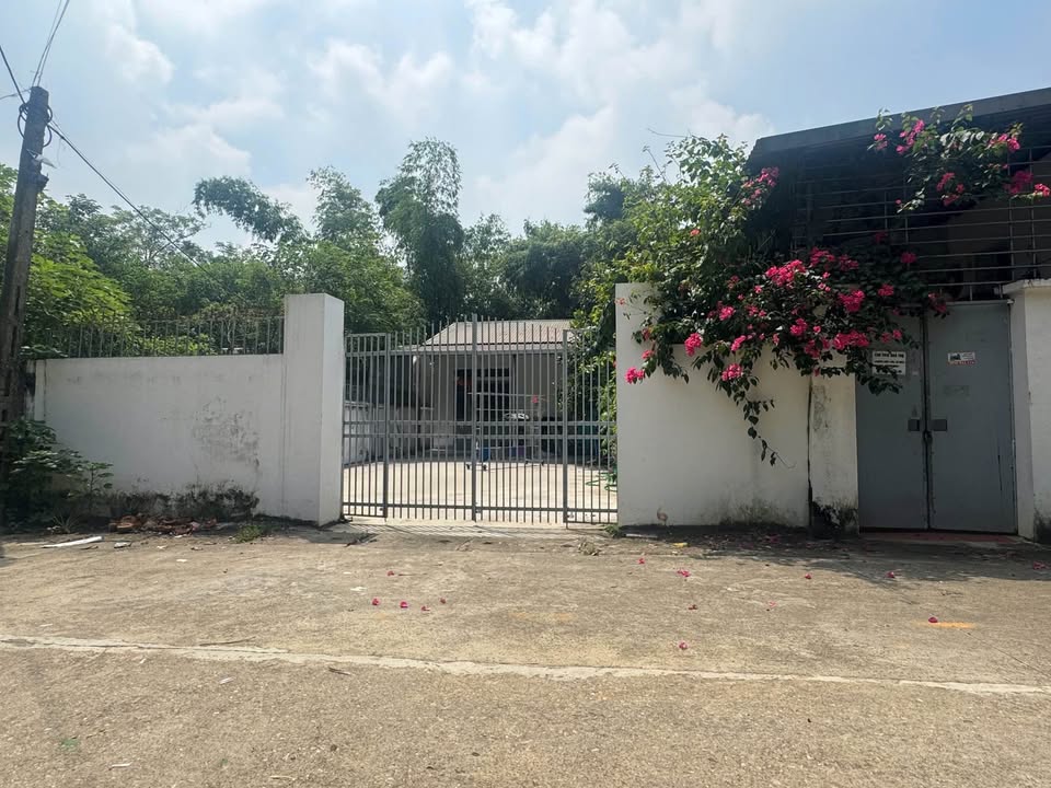 Đất nền Đồng Tâm Vĩnh Yên 304m² giá 6 tỷ - Nở hậu, xây nhà vườn lý tưởng!