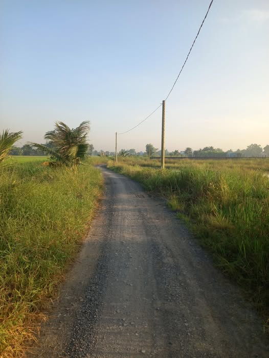 Đất mặt tiền đường GTNT T5, Tân Lân, Cần Đước, Long An - Diện tích 150m², Giá thỏa thuận - Cơ hội đầu tư hấp dẫn!