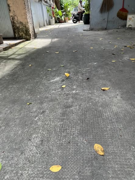 Nhà riêng tại Quận 10, diện tích 33m² giá 4 tỷ - Đầu tư lý tưởng cho gia đình!