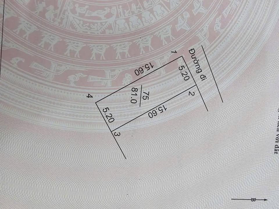 Đất nền Quốc lộ 32, Sơn Tây 81m² - Giá đầu tư hấp dẫn!