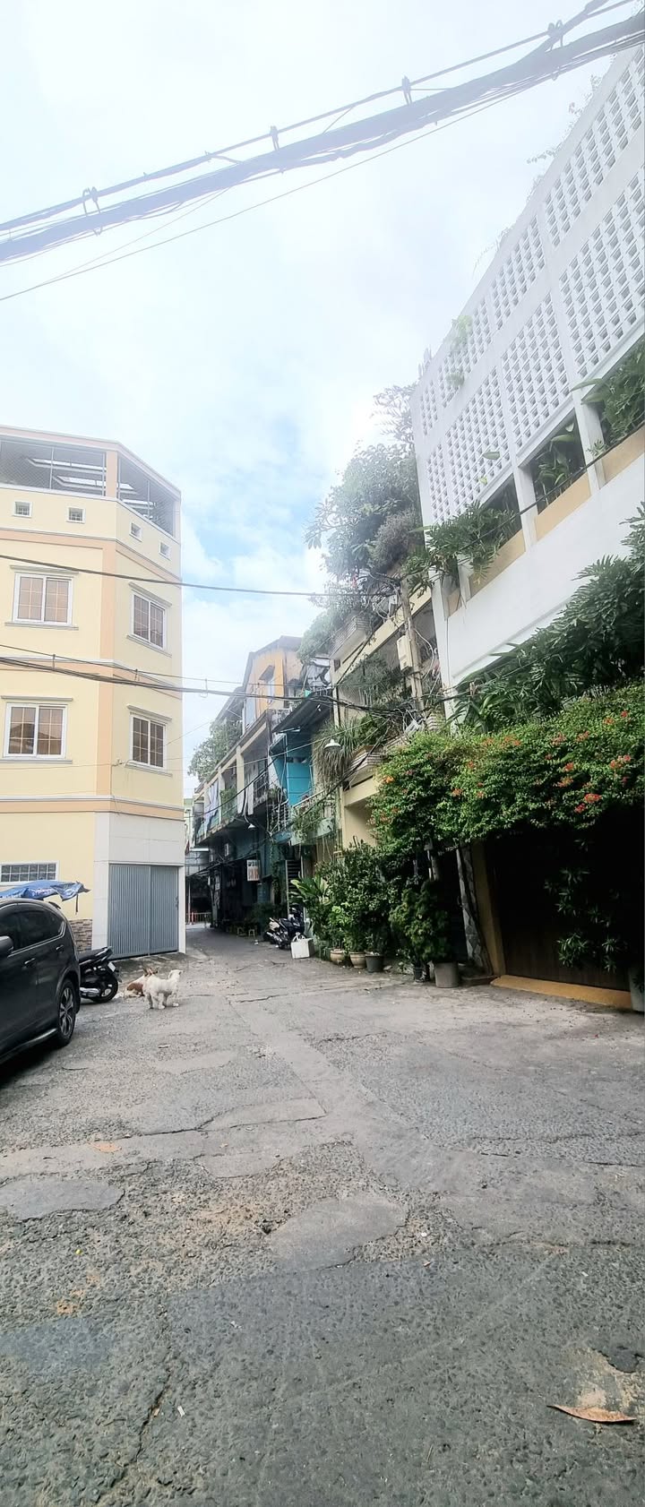 Nhà Bạch Đằng, Bình Thạnh 70m² giá 7 tỷ - Nở hậu tài lộc!