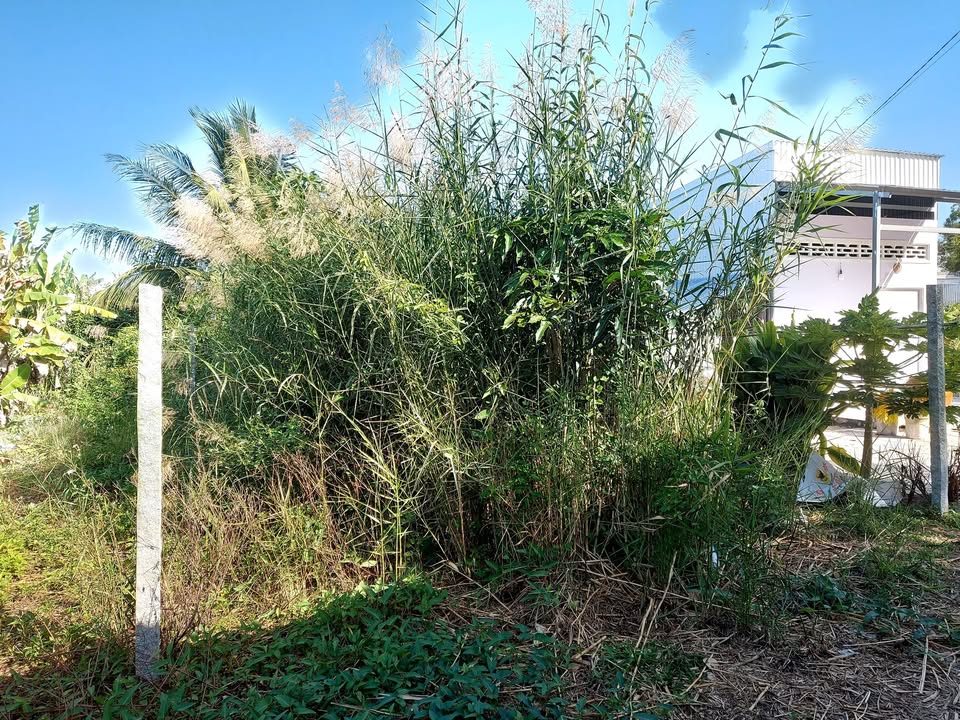 Bán đất mặt tiền kênh Tà Niên An Giang 167,6m² giá 950 triệu - Cơ hội đầu tư hấp dẫn!