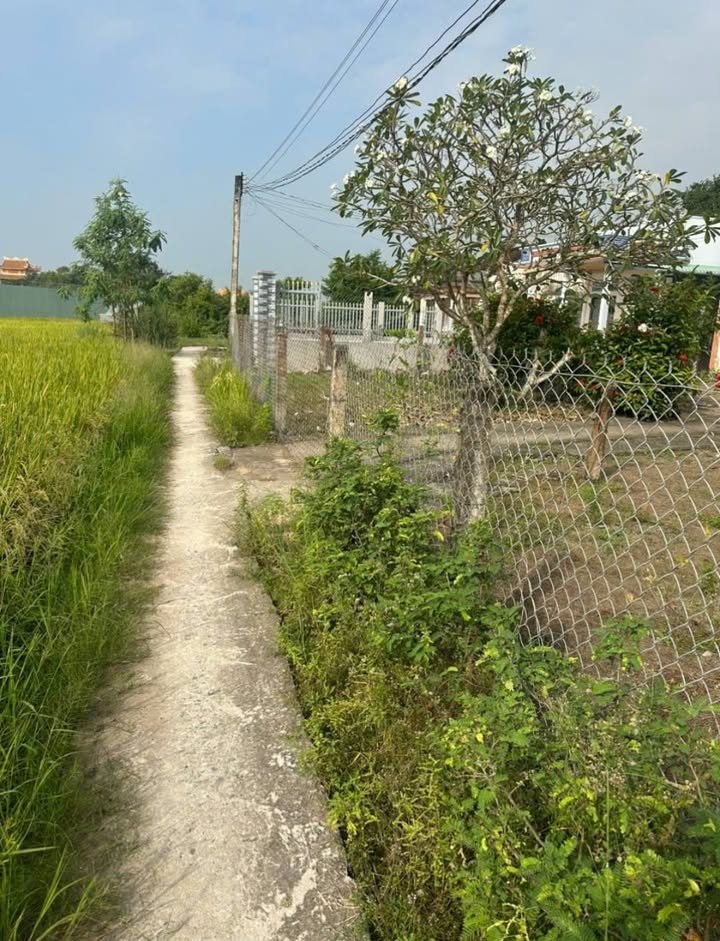 Đất vườn 946m² tại ấp 2, Phước Đông, Cần Đước - Giá chỉ 1.4 tỷ, thương lượng tốt!