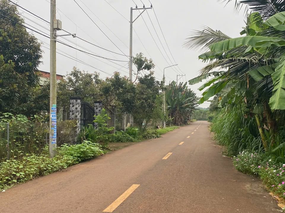 Đất mặt tiền đường nhựa Long Phước, Bà Rịa - Vũng Tàu 690m² giá 1.7 tỷ - Cơ hội đầu tư tuyệt vời!