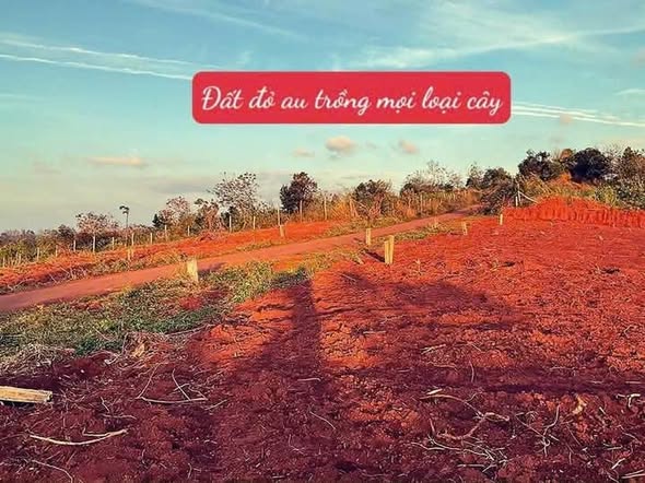 Bán đất mặt tiền đường Nhựa (Ea Tam) 1020m² giá 219 triệu - Đất hướng Đông Bắc, vị trí thuận lợi!