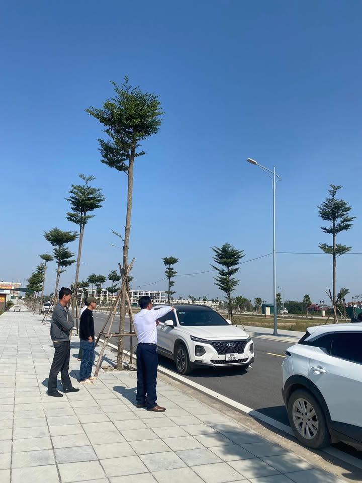 Đất nền Khu đô thị Hoàng Lý 80m² giá 4 tỷ - Cơ hội đầu tư không thể bỏ lỡ!