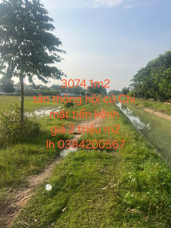 Đất nền mặt tiền kênh Tân Thông Hội, Củ Chi 3074m² - Cơ hội đầu tư tuyệt vời!