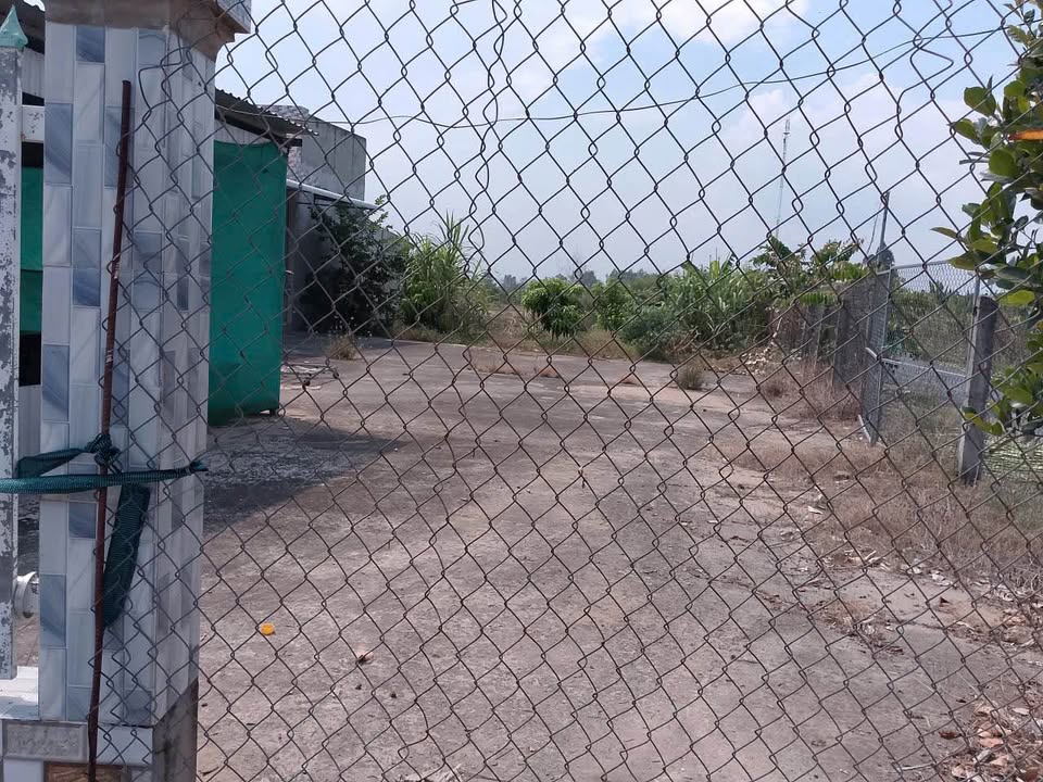 Đất nền Mỹ Ngãi, Cao Lãnh 3.095,9m² giá 1.5 tỷ - Pháp lý rõ ràng, thương lượng chính chủ!